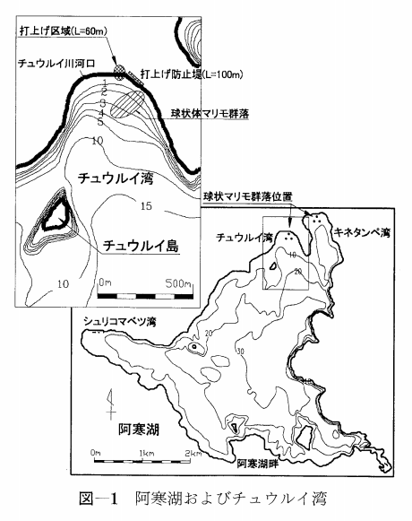 阿寒湖にあるマリモの群生地の地図