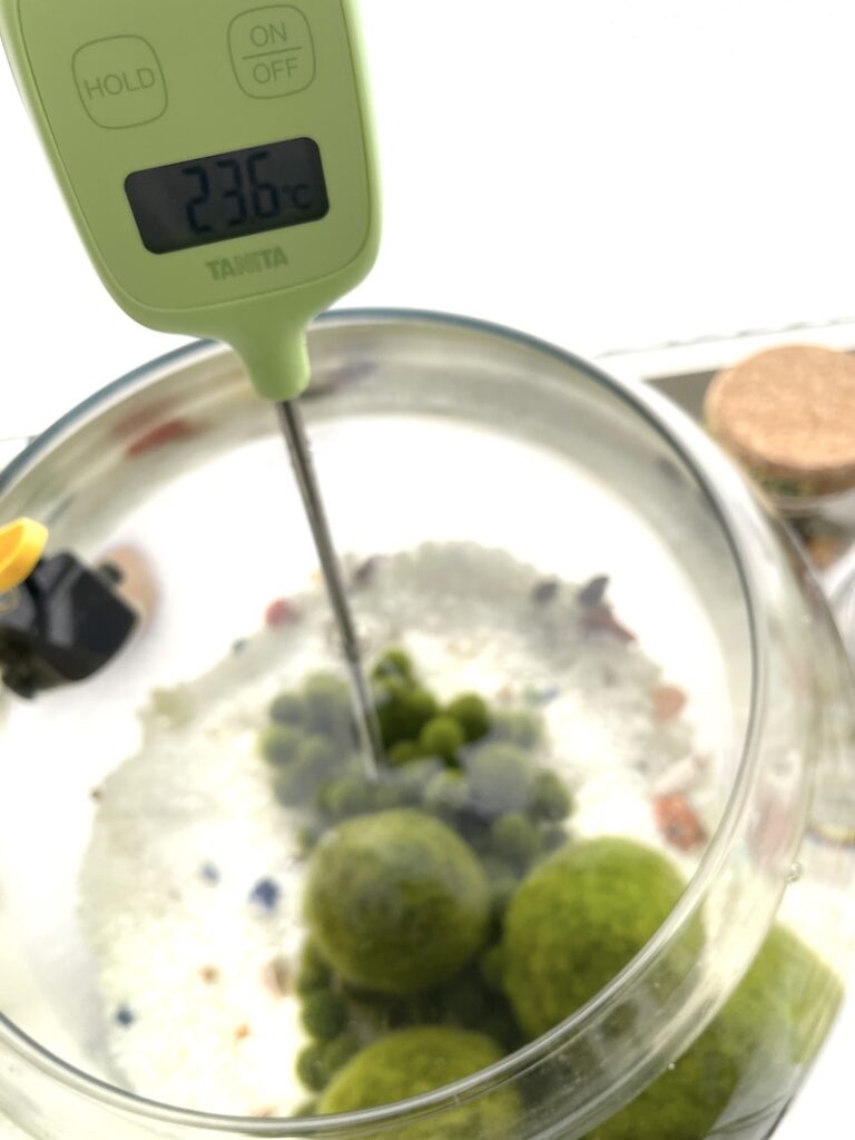 料理用温度計でマリモの水槽の温度を計る