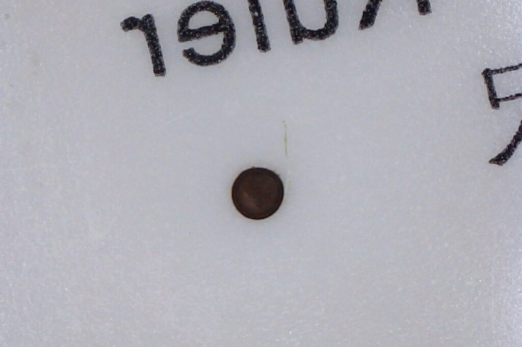 顕微鏡で撮影した謎の黒い点