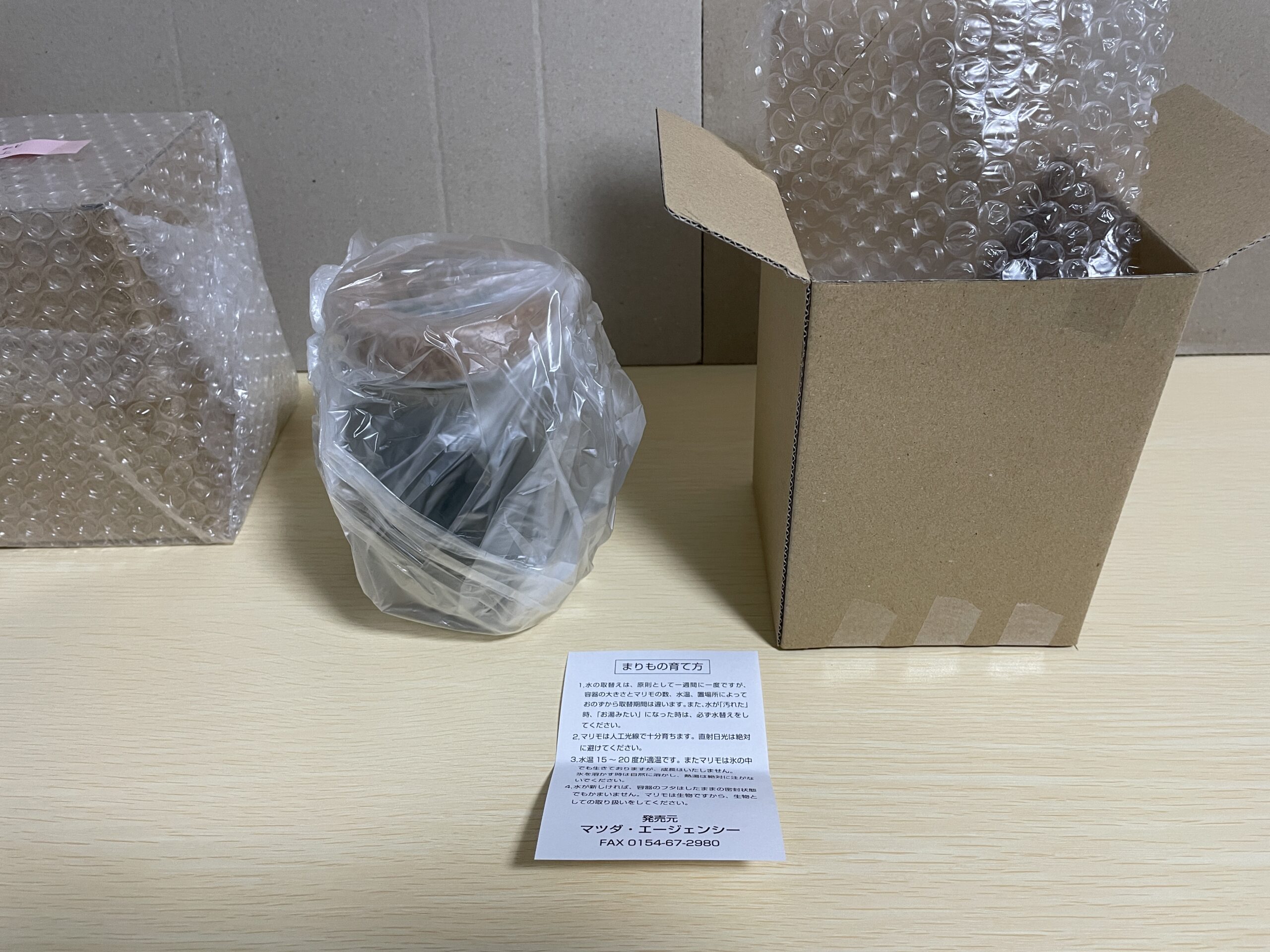 購入した大きなサイズのマリモの梱包