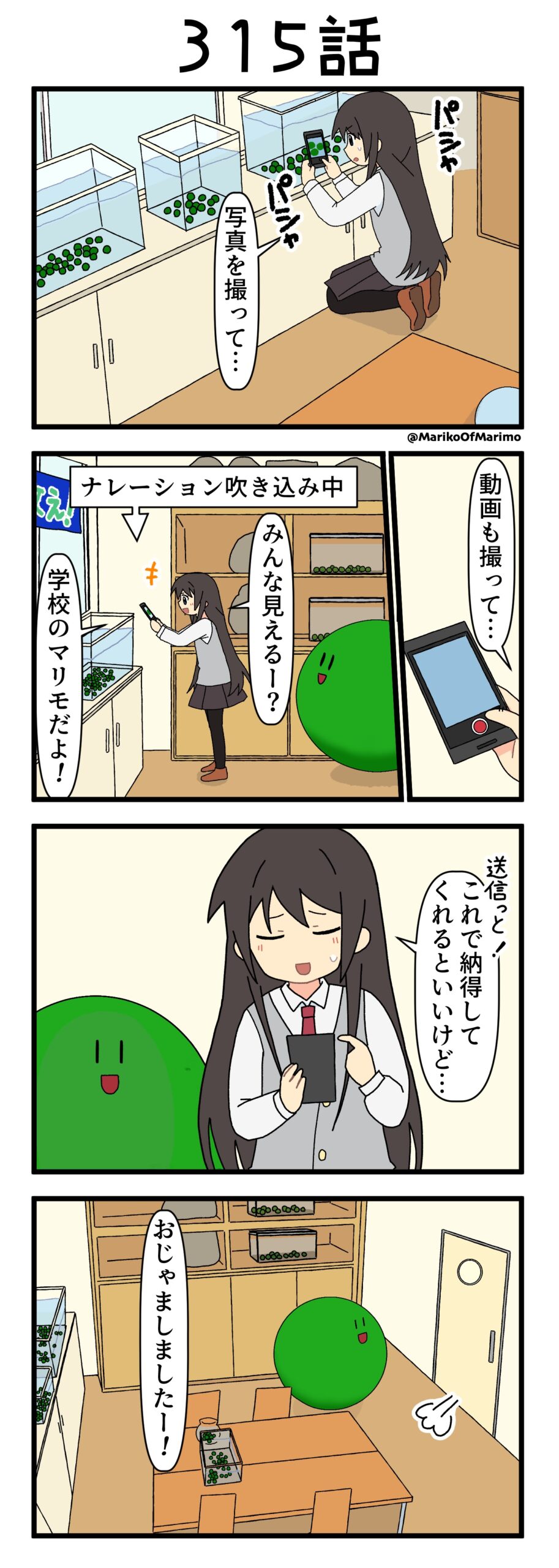 4コマ漫画『マリモのまりこちゃん』第315話