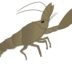 ウチダザリガニのイラスト